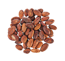cocoa beans