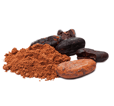 cocoa powder